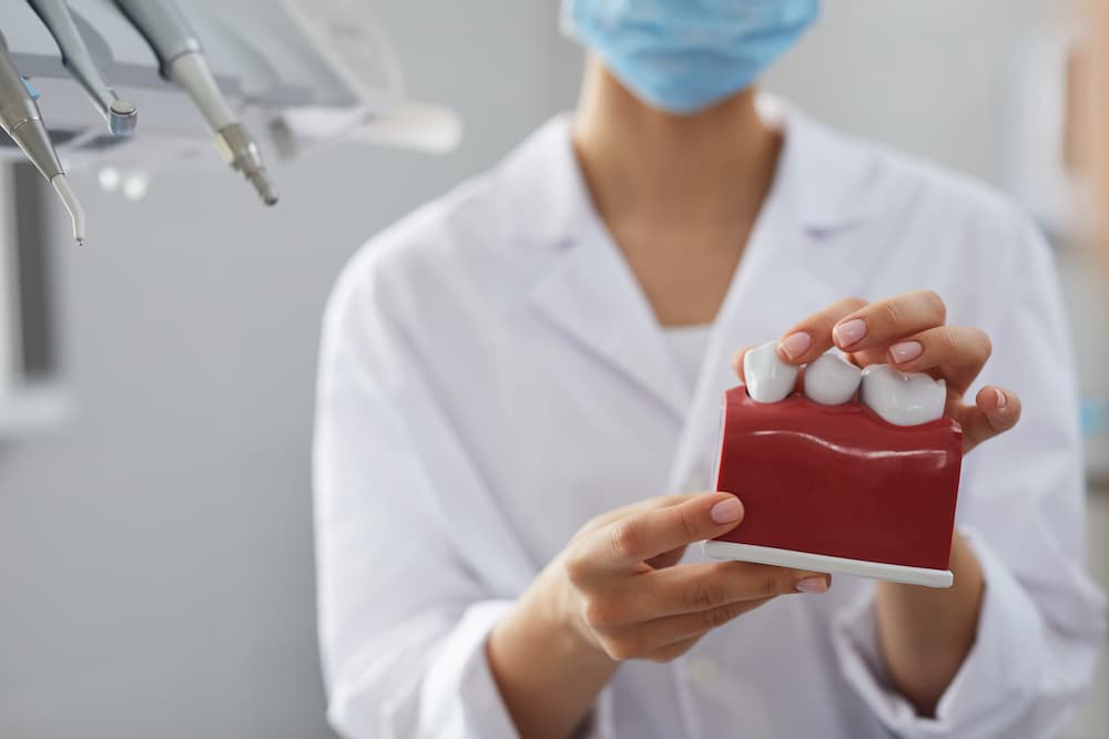 dentist holding tooth model closeup NHEUMB4 1