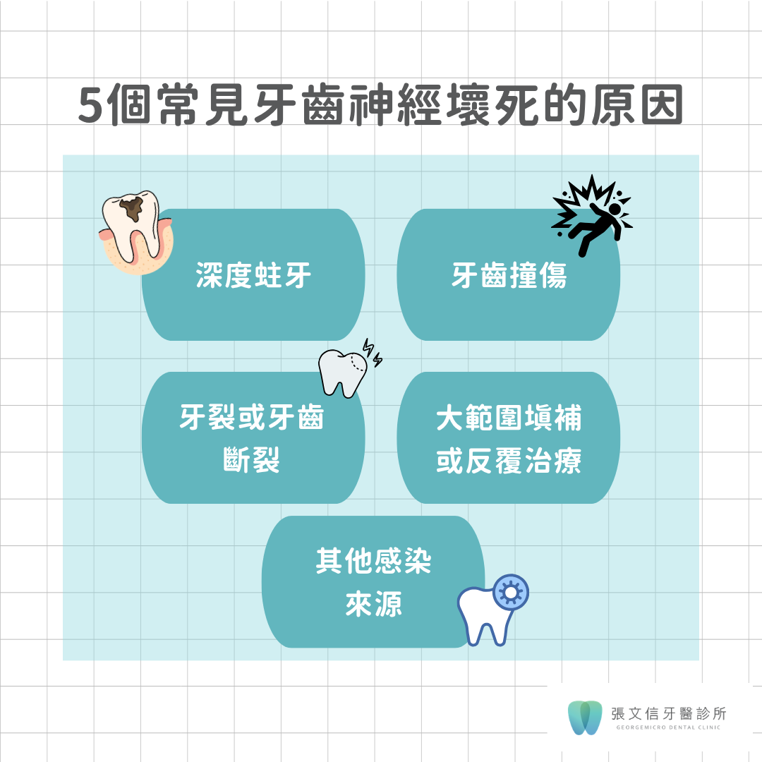 牙齒神經為什麼會壞死