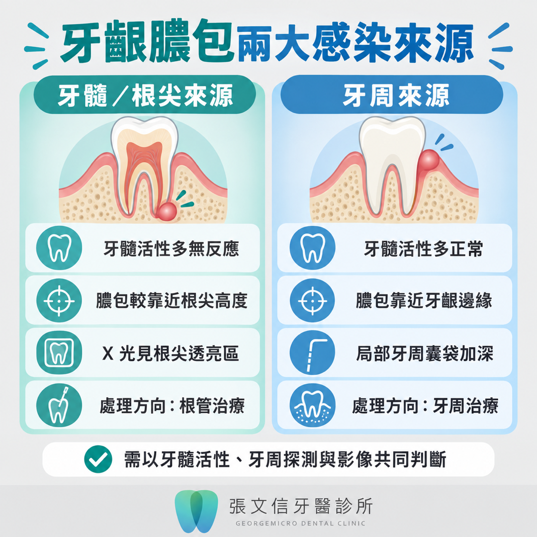 比較牙髓根尖來源與牙周來源的牙髓活性、膿包位置、影像特徵及處理方向